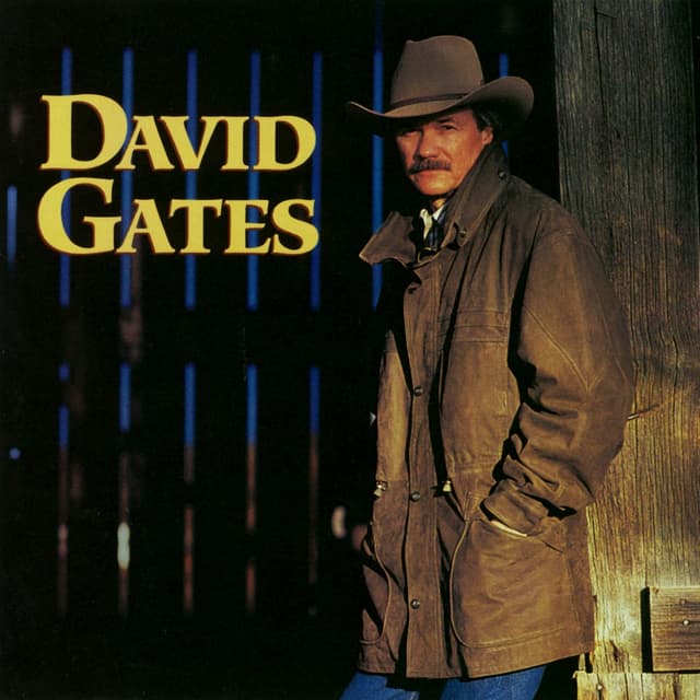 Album cover art for Love Is Always Seventeen