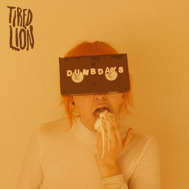 Album cover art for Dumb Days