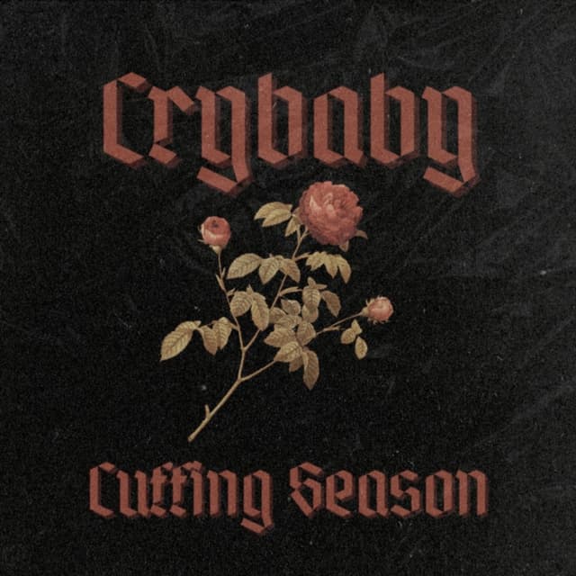 Album cover art for Crybaby
