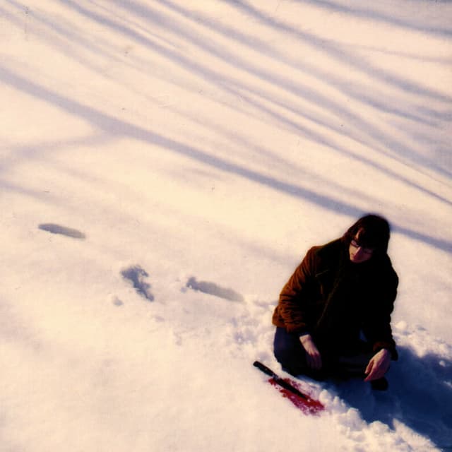 Album cover art for Awake Like Sleep