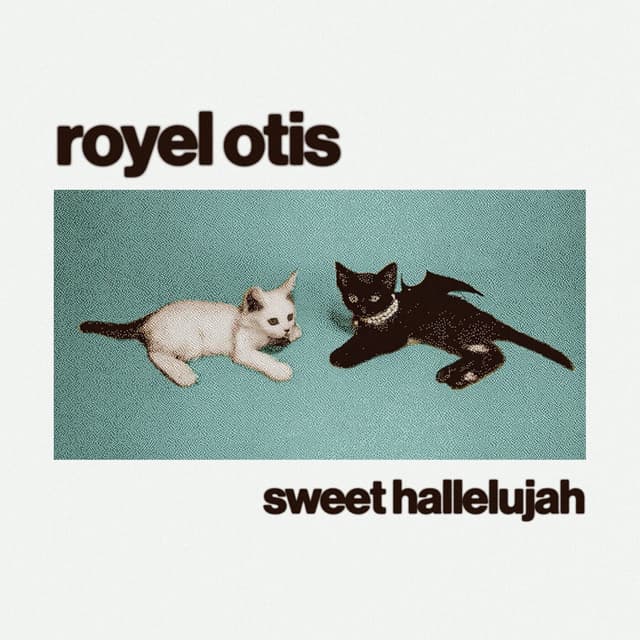 Album cover art for Sweet Hallelujah