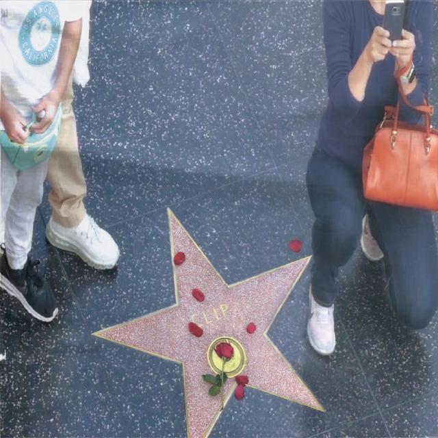 Album cover art for sunset blvd