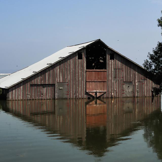 Album cover art for Pray for Rain