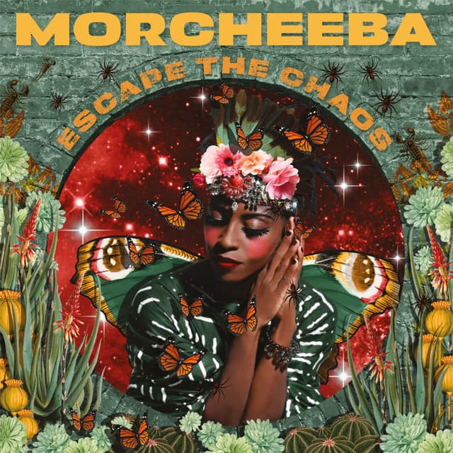 Album cover art for Escape the Chaos