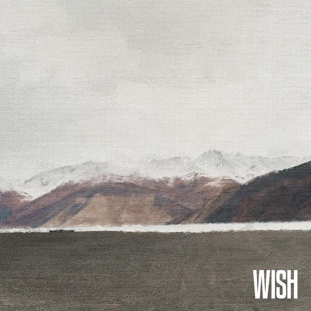 Album cover art for WISH
