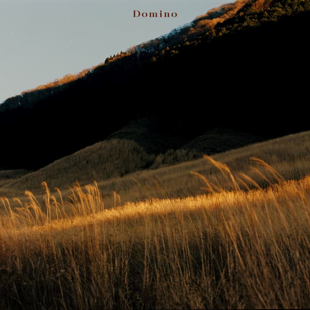Album cover art for Domino