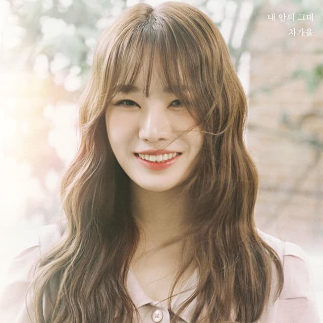 Album cover art for 내 안의 그대