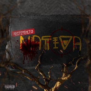 Album cover art for Resistência Nativa