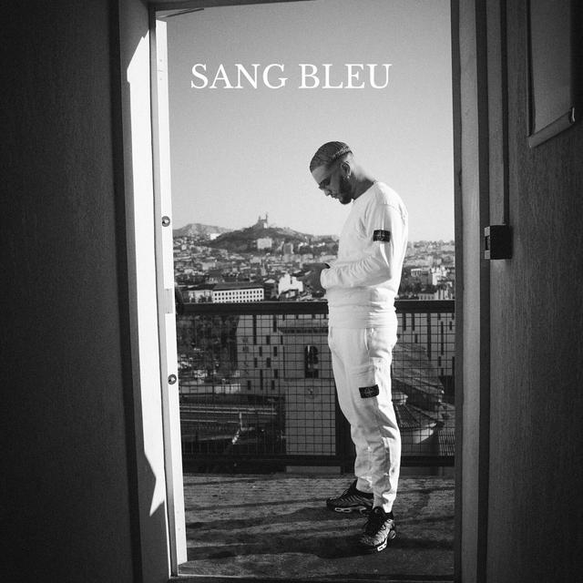 Album cover art for Sang bleu
