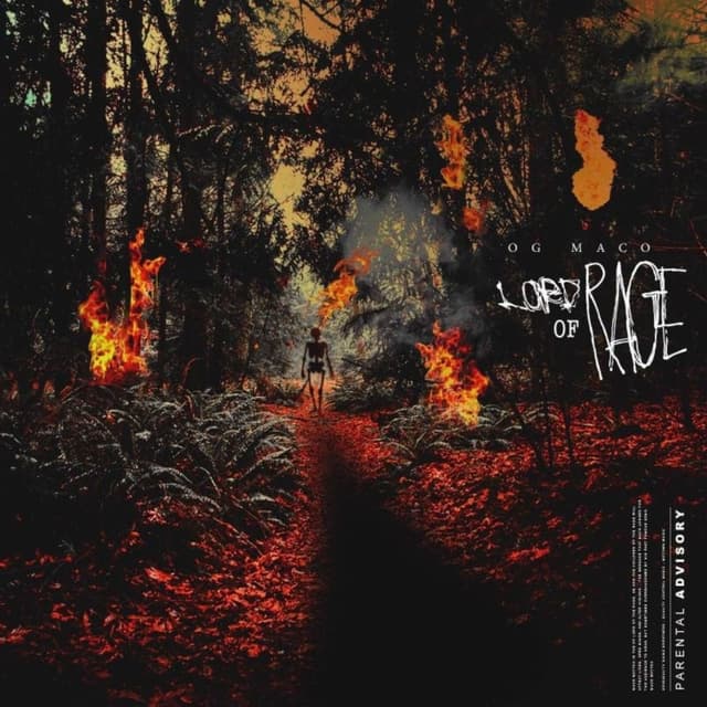 Album cover art for The Lord of Rage