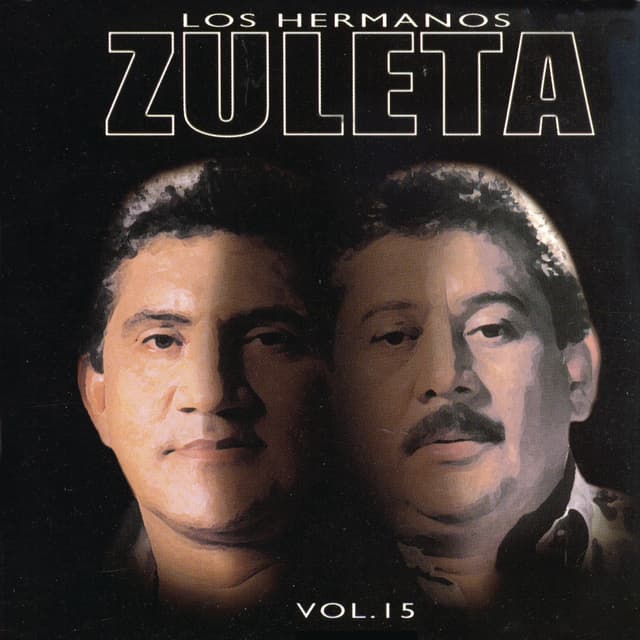 Album cover art for Vol. 15