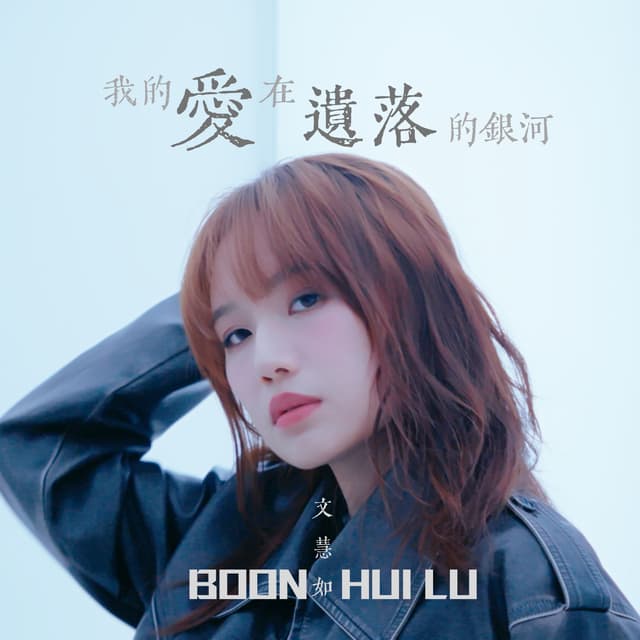 Album cover art for 我的愛在遺落的銀河
