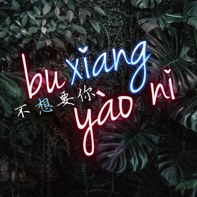 Album cover art for 不想要你