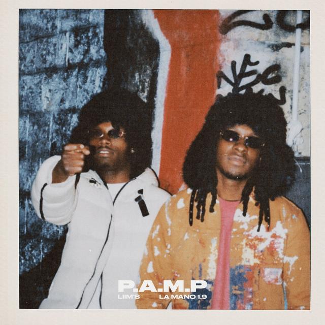 Album cover art for P.A.M.P