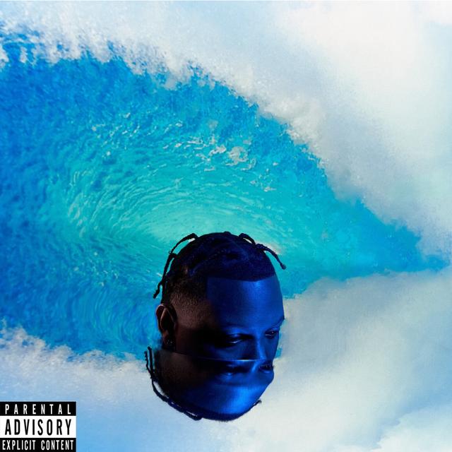 Album cover art for SURF OR DROWN