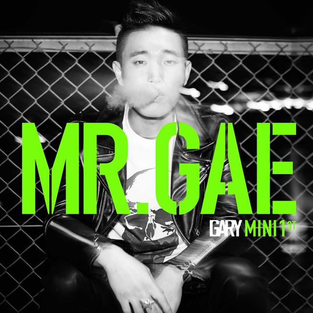 Album cover art for Mr. Gae