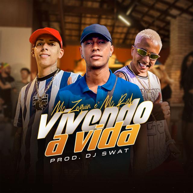 Album cover art for Vivendo A Vida