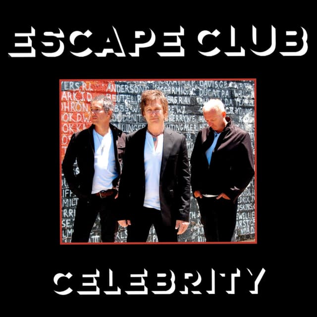 Album cover art for Celebrity