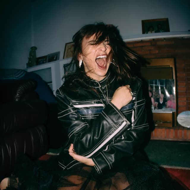 Album cover art for I Accidentally Burnt the House Down