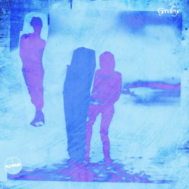 Album cover art for Goodbye