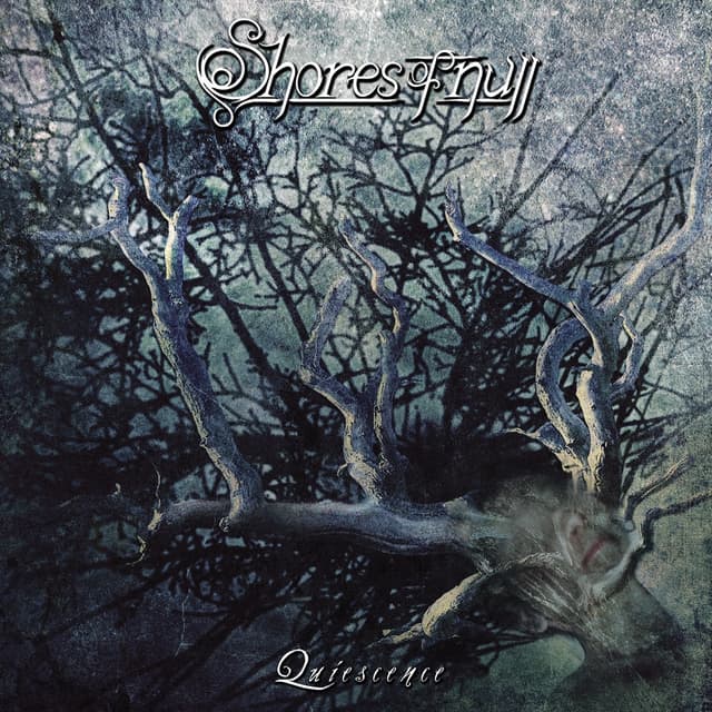 Album cover art for Quiescence