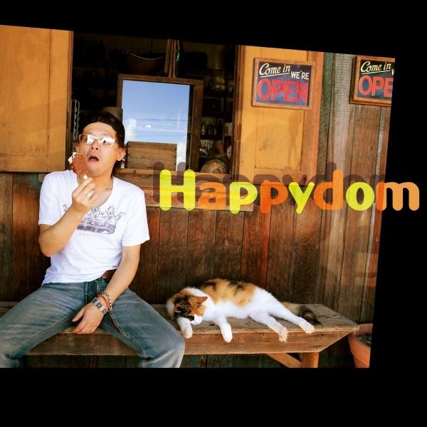 Album cover art for Happydom