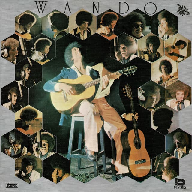 Album cover art for Wando