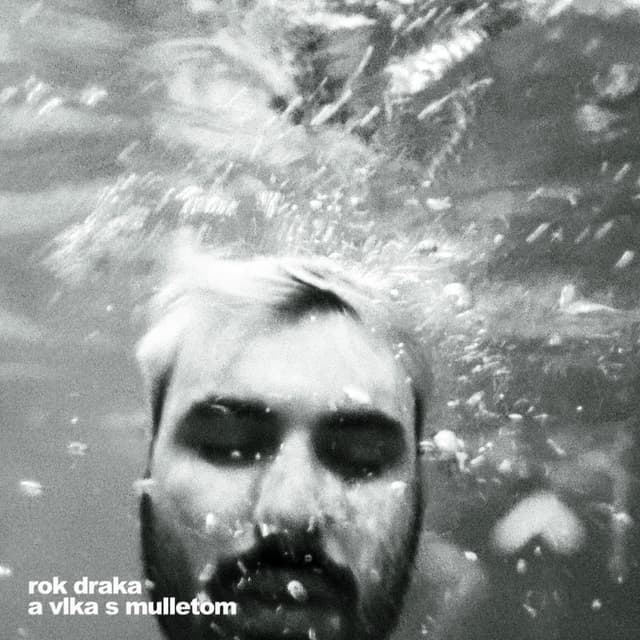 Album cover art for rok draka a vlka s mulletom