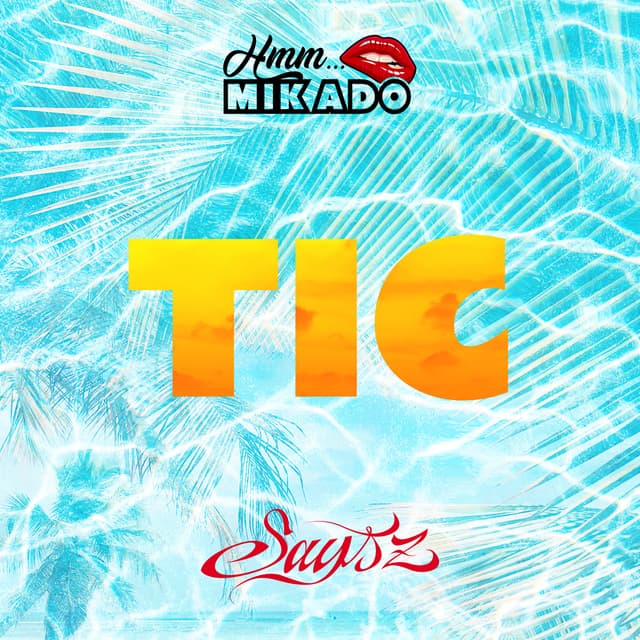 Album cover art for Tic