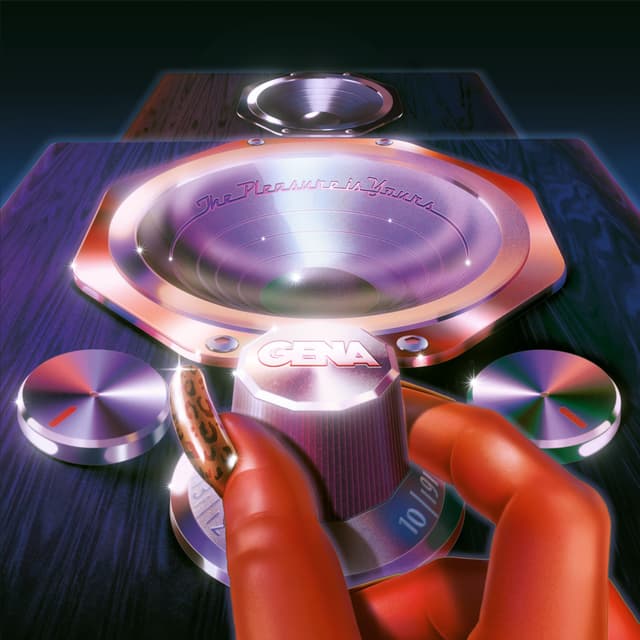 Album cover art for The Pleasure Is Yours