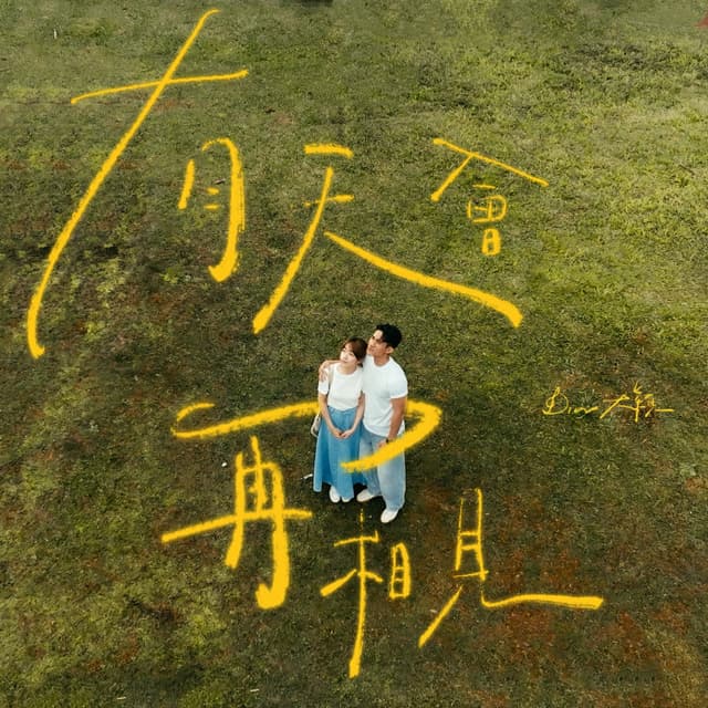 Album cover art for 有天會再相見