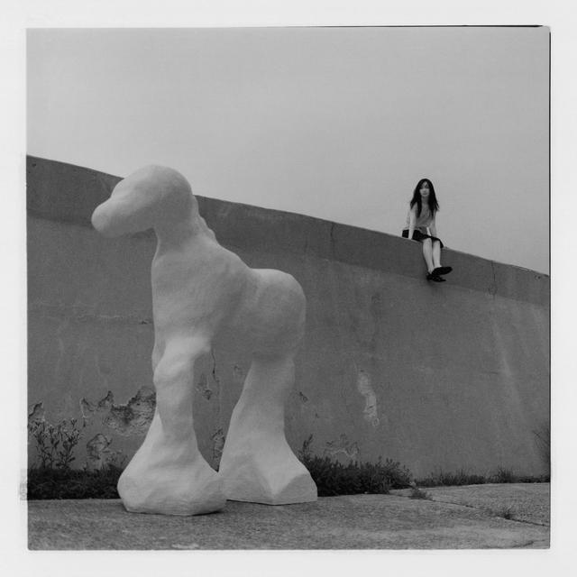 Album cover art for The Embers