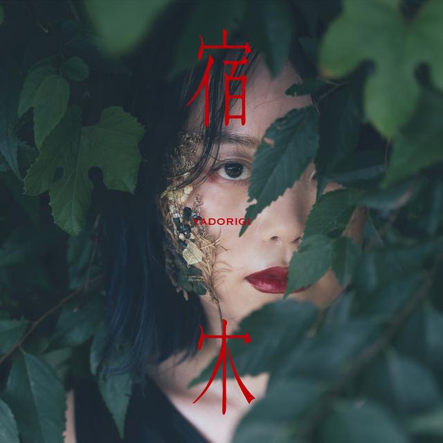 Album cover art for 宿木