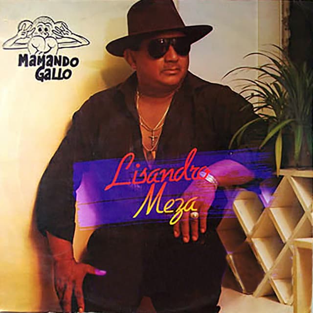 Album cover art for MaMando Gallo