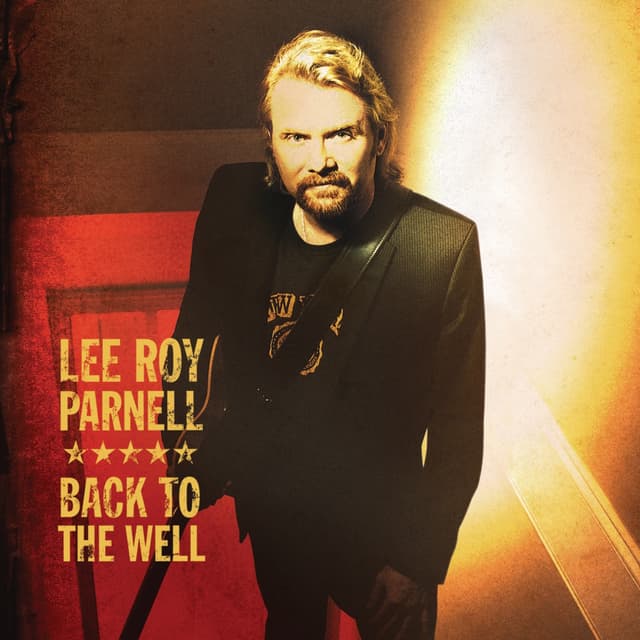 Album cover art for Back To The Well