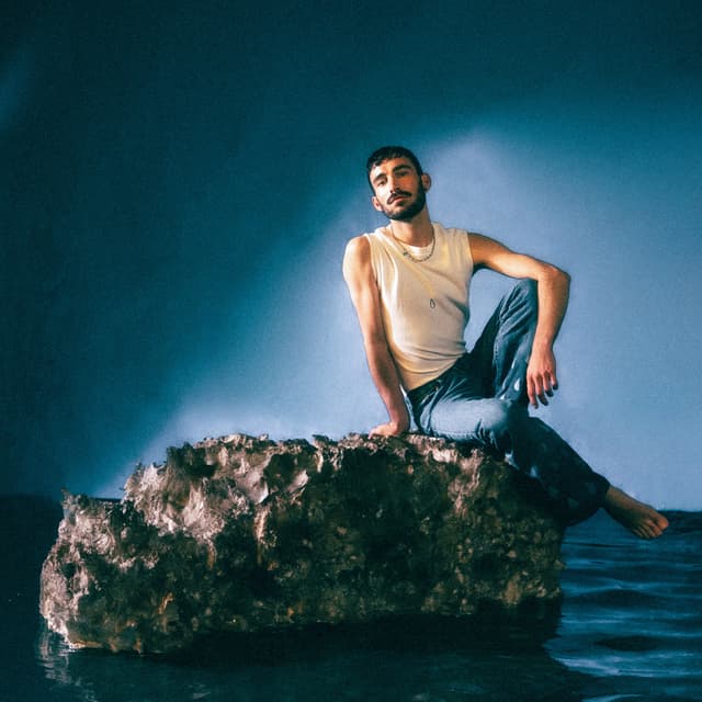 Album cover art for Sincère