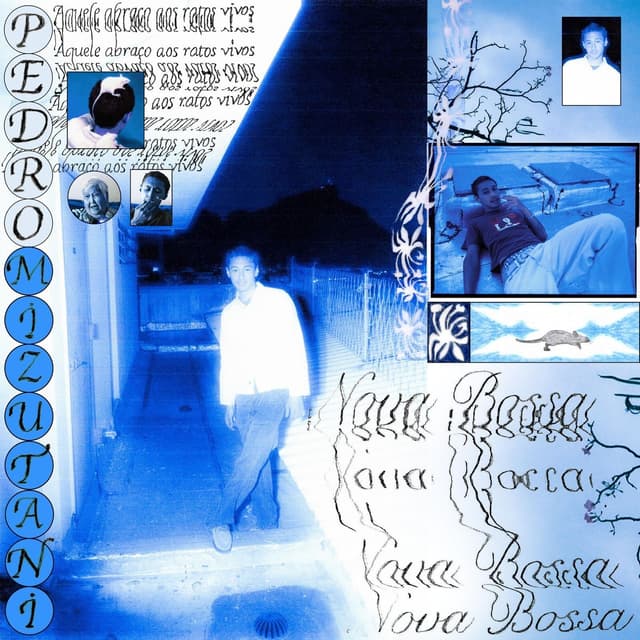 Album cover art for Nova Bossa: Aquele Abraço Aos Ratos Vivos