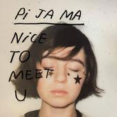 Album cover art for Nice to Meet U