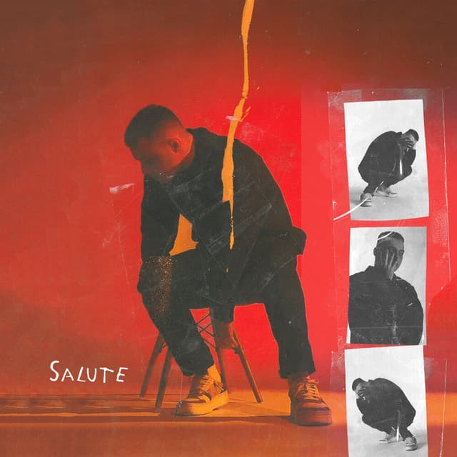 Album cover art for Salute
