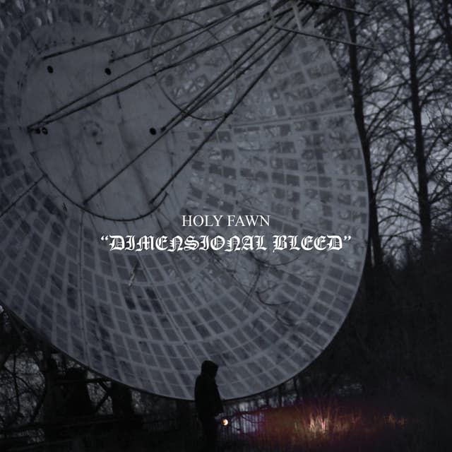 Album cover art for Dimensional Bleed