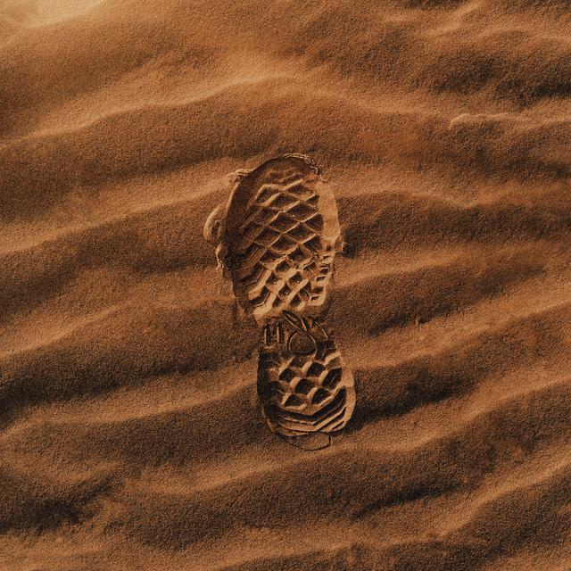 Album cover art for Walk