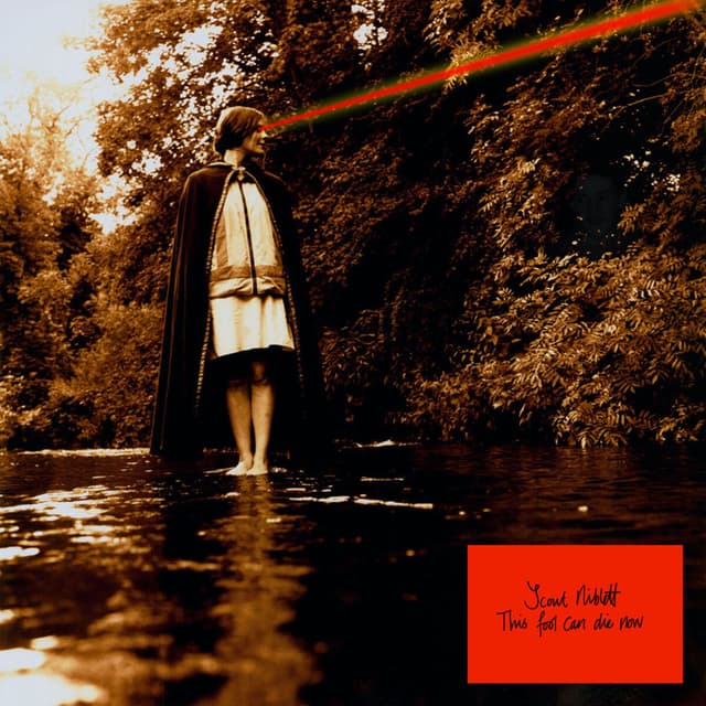 Album cover art for This Fool Can Die Now