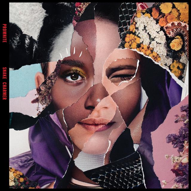 Album cover art for Snake Charmer