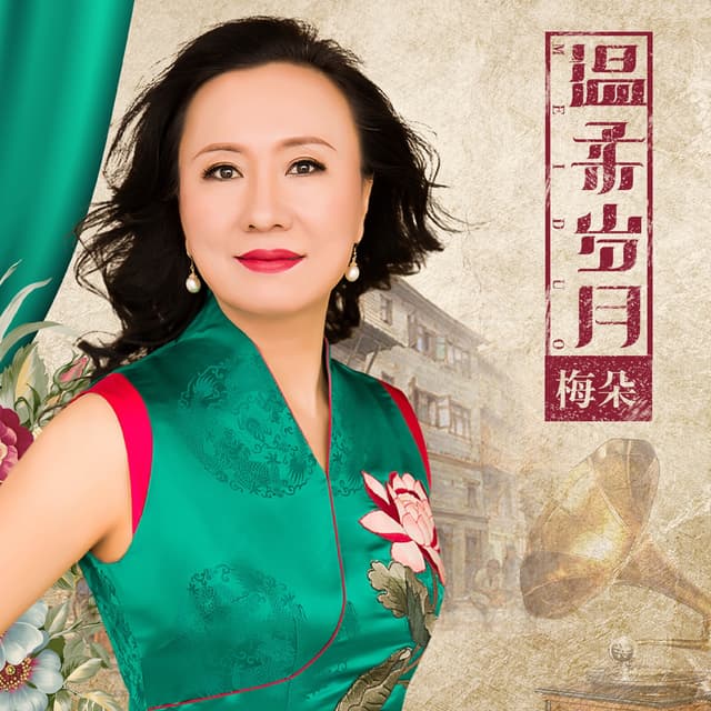 Album cover art for 温柔岁月