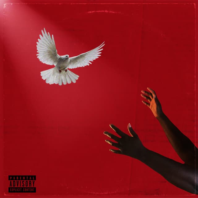 Album cover art for The Last Remnants