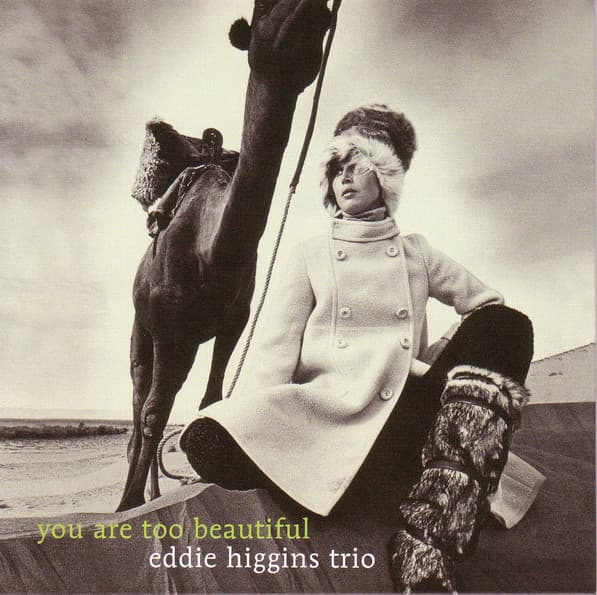 Album cover art for You Are Too Beautiful