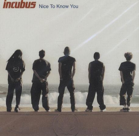 Album cover art for Nice To Know You