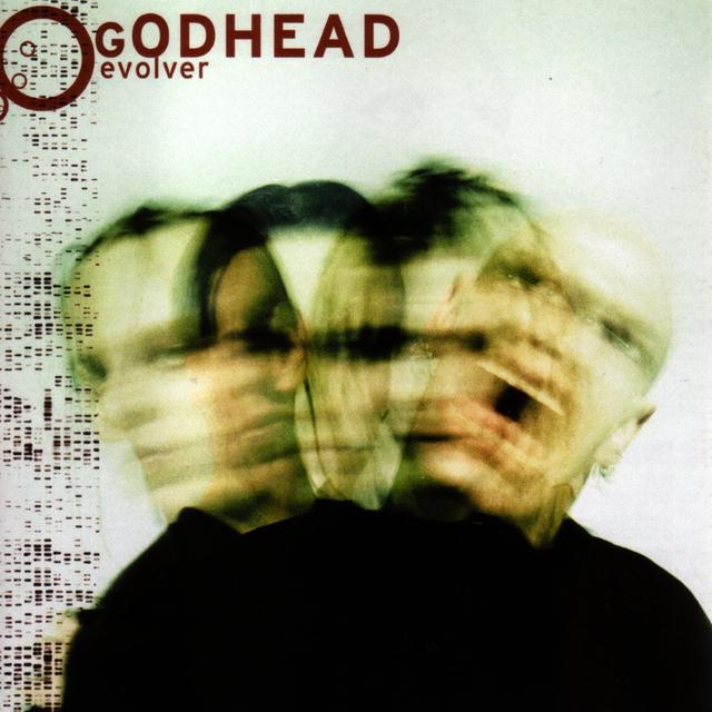 Album cover art for Evolver