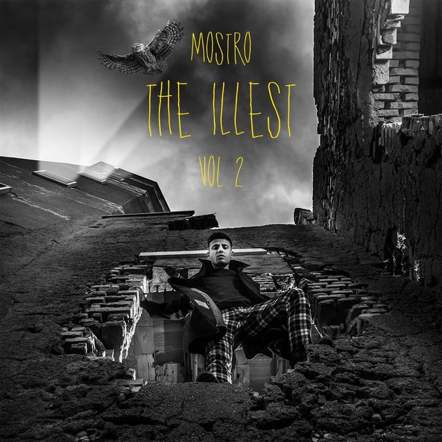 Album cover art for The Illest, Vol. 2