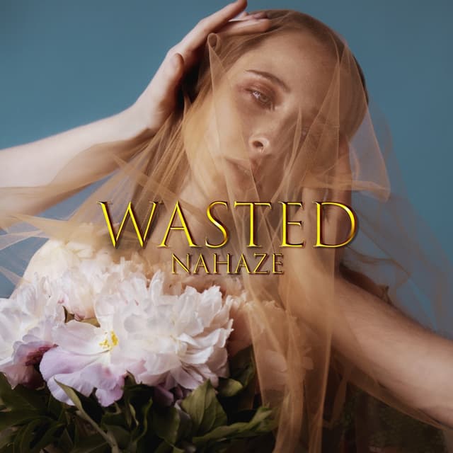 Album cover art for Wasted